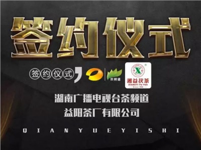 湘益茯，美茗揚(yáng) 丨湘益茯茶與茶頻道達(dá)成長(zhǎng)期戰(zhàn)略合作