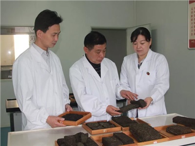 傳承茯茶非遺技藝、開拓創(chuàng)新引領(lǐng)行業(yè)發(fā)展