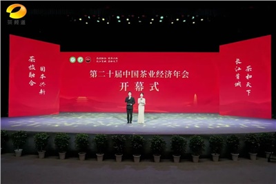 【聚焦第二十屆中國茶業(yè)經(jīng)濟年會】益陽茶廠榮獲“民族團結(jié)互助企業(yè)”、“2024年度茶業(yè)重點企業(yè)”榮譽稱號